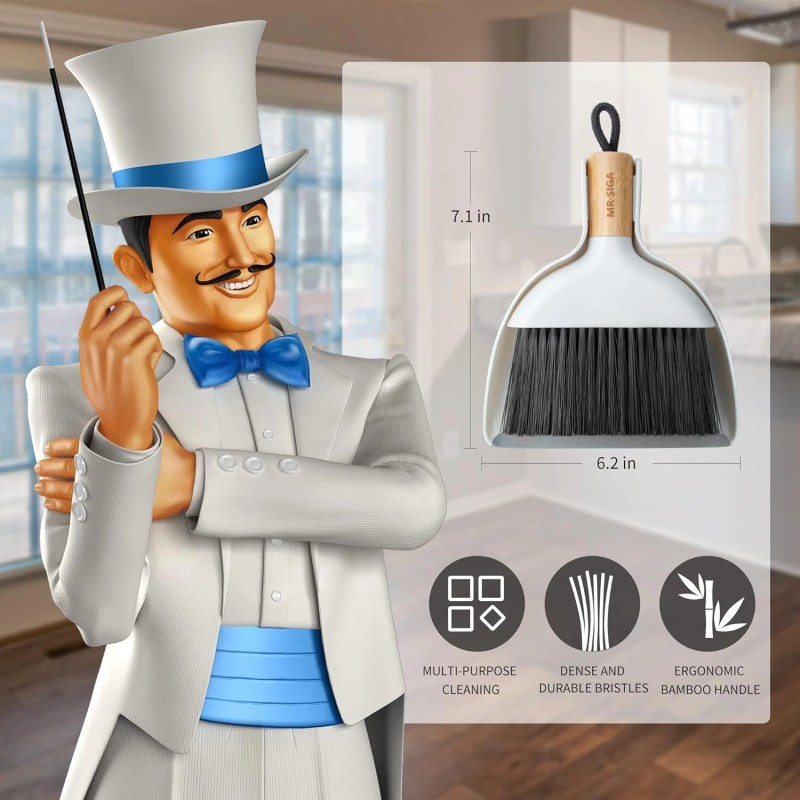MR.SIGA Mini Dustpan and Brush Set, Portable Cleaning Brush and