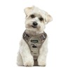Funfox Dog Harness Small No Pull, Adjustable 2 Clips Anti-Pull