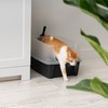 IRIS USA Large Open Top Cat Litter Box with High
