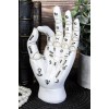 Psychic Fortune Teller Chirology Palmistry Hand Palm With Lines Mounts