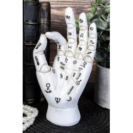 Psychic Fortune Teller Chirology Palmistry Hand Palm With Lines Mounts Figurine