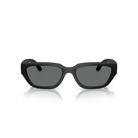 ARNETTE Sunglasses AN 4350 290081 Matte Black/Dark Grey Polar Policarbonate Po