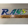 AWESOME SIX PIECE TAMPA BAY DEVIL RAYS JERSEY IRON ON