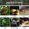 SCNNC Reptile Heat Lamp Basking Spot 100 W E27 R80