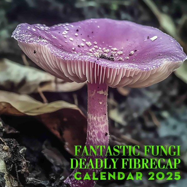 Fantastic Fungi Deadly Fibrecap Calendar 2025: A Year of Mystical