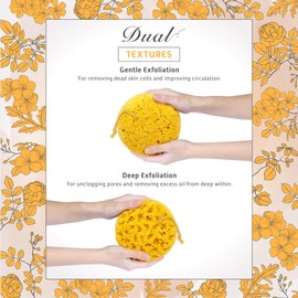 Spongentle Deep Cleansing Body Loofah Sponge, for Bath and Shower Loofah with Suction Cup, Multiple Textures for Gentle and Deep Exfoliation, with Nature Color, Generous and Rich Lather (Pack of 2)