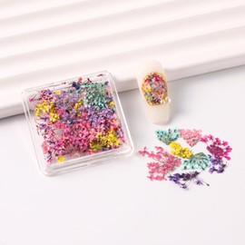 1Box Dried Flowers Stickers for Nail Art, Colorful Spring Dried Flower Nail Decals Mini Real Natural Flowers Nail Art Supplies 3D Applique Nail Decoration Sticker for Women Girls Nail Decoration