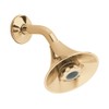 American Standard 1660.715.099 Flowise Styled Water Saving Showerhead, Polished Brass