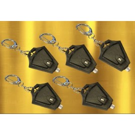 Maximus Micro Light LED Flashlight Keychain 5 Pack Super Bright Mini Flashlight Key Ring Photon Beam