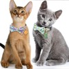 Faygarsle 2 Pack Cat Collar with Bell Breakaway Bowtie for