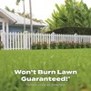 Scotts Turf Builder Southern Lawn FoodFL, Fertilizer for Any Grass