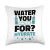 Water You Waiting For Hydrate, Hydration Specialist Waterboy Throw Pillow