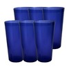 Party Outlaw Purple Plastic Cup Tumblers 6 Pc 16oz Lightweight,
