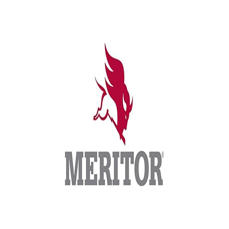 Meritor King Pin Shim - R210227