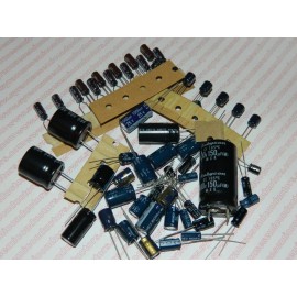 Commodore 1084S-D2 Cap Kit / Get Well Arcade Monitor Repair  w/ FILTER CAP