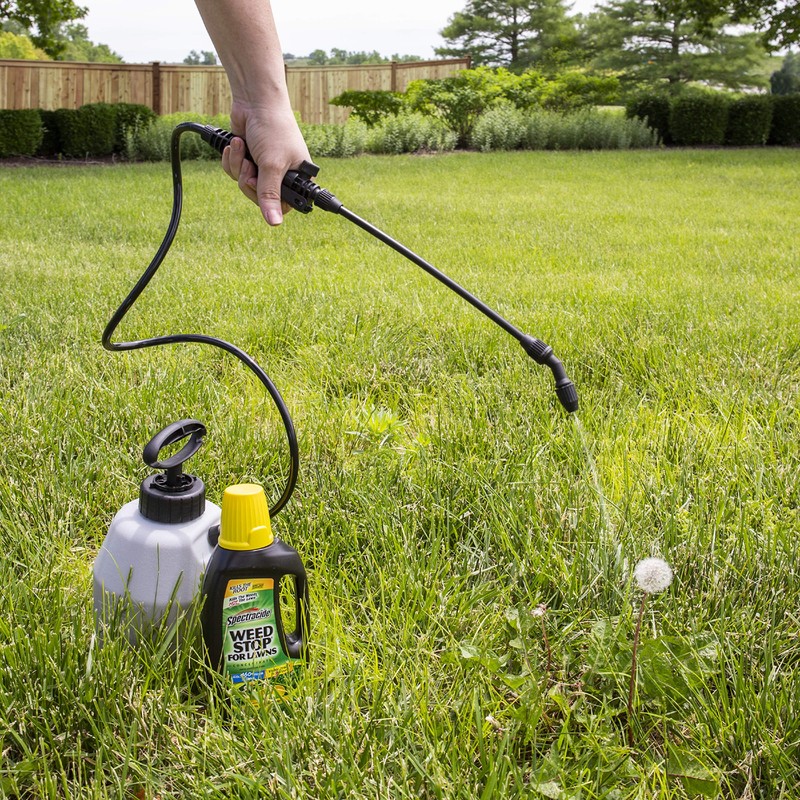 Spectracide 96392 Weed Stop for Lawns Concentrate (HG-96392) (32 fl