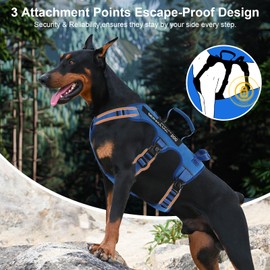 Escape Proof Dog Harness for Large Medium Sized Dogs Six Point Adjustable, Service Dog Vest Harness and Leash Set, No Pull Dogs Harnesses with Handle, XL Dog Harnesses for Walking(Blue, XL)