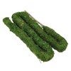 Natural Moss Pole Bendable Moss Plant Rod Plant Climbing Gardening