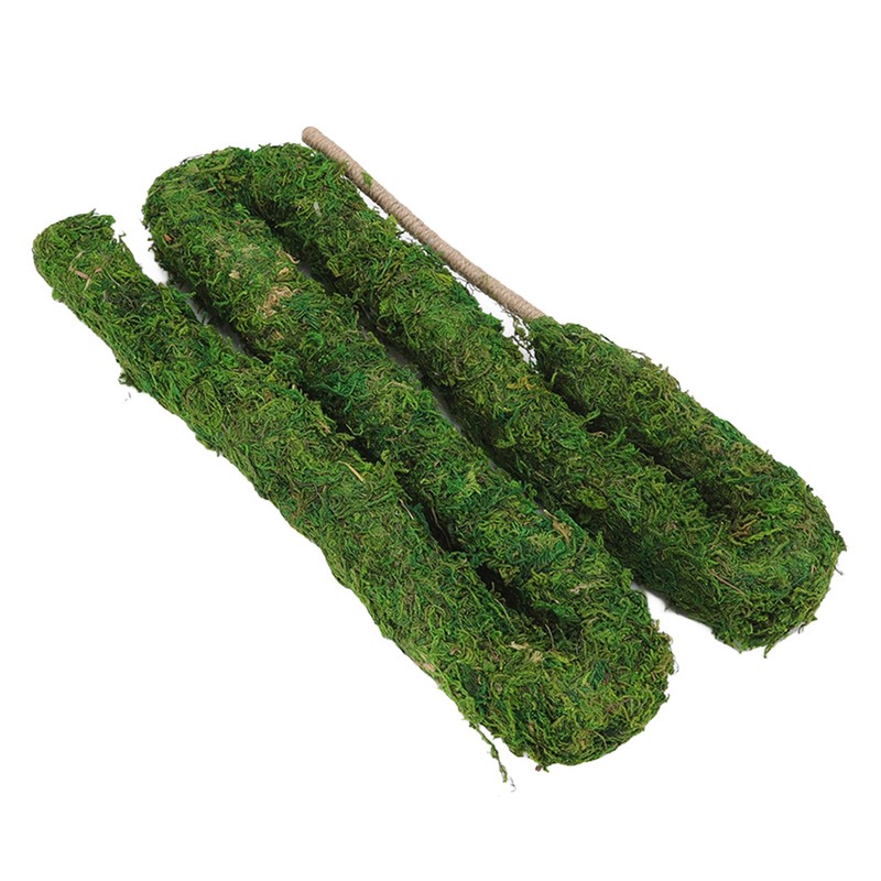 Natural Moss Pole Bendable Moss Plant Rod Plant Climbing Gardening