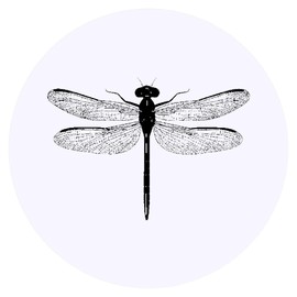 24 x 40mm Round 'Dragonfly Top View' Stickers (SK00067936)