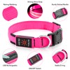 Illumifun LED Dog Collar | USB Rechargeable Light Up Dog