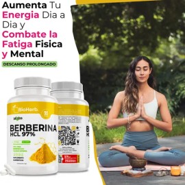 Berberina HCL Al 97 Clorhidrato (90 Cápsulas Para 90 Días) [Potente Formulacion]  Alta Concentracion Absorcion Potenciada  Maxima Eficacia  Calidad...