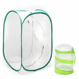 Rngeo Pop-up Insect and Butterfly Habitat Cage Terrarium - 24 Inches Tall