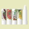 Anjumain Evelyn Extra Soft Bio Protective Lip Balm 4g × 4 types of extra lip balm × 1 / 에블린 엑스트라 소프트 바이오 프로텍티브 립밤 4g × 엑스트라 립밤 4종 × 1개