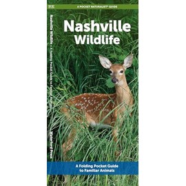 Nashville Wildlife: A Folding Pocket Guide to Familiar Animals (A Pocket Naturalist Guide)