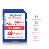 BigBuild Technology 256GB UHS-I U3 95MB/s Memory Card Compatible with