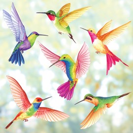 DECOWALL CDS2-9002 Pack of 6 Hummingbird Window Stickers Birds Window Stickers Window Spring Window Decoration Bird Strike Protection Window Stickers Reusable