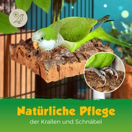Bird Perch Stand made from Cork Bark For perching, nibbling and gnawing. Cork perch stand for budgerigars, canaries, parrots & other birds and also rodents (15 x 15cm) by Kork-Deko
