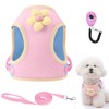 Dog Harness with Leash Set, Breathable Adjustable Dog & Cat