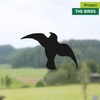 Windhager Bird Silhouette Stickers Pack Of 3