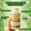 NutriONN PSYLLIUM Husk Capsules - 1450mg Per Serving - 240