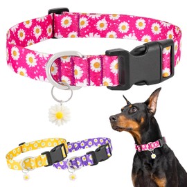 BiPawTi Cute Dog Collar for Medium Dogs - Soft, Adjustable Collar with Daisy Pendant & Pretty Flowers Daisy Pattern - Pink Dog Collar for Medium Dogs, M