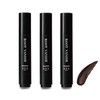 Kazumi KIWABI Hair Hiding Stick Type, Dark Brown, Set of