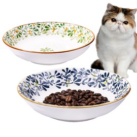 BOSILI Ceramic Cat Food Plate set of 2 Porcelain Cat Food Dish for Wet Food Wide Bowl to Relieve Whisker Fatigue, Shallow Bowl for Kittens and Small Animals