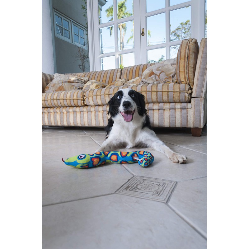 Petmate Fat Cat Incredible Strapping Yankers Dog Toy, Snake (Colors