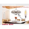 Satco S29877 Candelabra Bulb in Light Finish, Clear