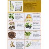 Forever 3 boxes Forever Aloe Blossom Herbal Tea (25 bags