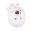 Creative Anatomical Heart Vases Resin Sculpture Heart Shaped Art Flower