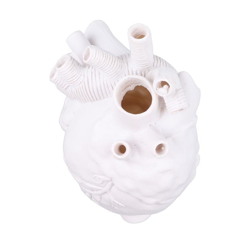 Creative Anatomical Heart Vases Resin Sculpture Heart Shaped Art Flower