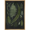 SIGNWIN Framed Canvas Print Wall Art Contemporary Botanical Fern Stylish