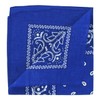 Laciteinterdite Set of 3 Paisley Bandanas for Men and Women,