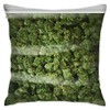 Sotyi-ltd A Big Old Bag of Weed Decorative Throw Pillow