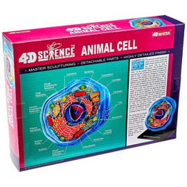 Famemaster 4D-Science Animal Cell Anatomy Model Coral, Black, Mint Green, Beige, Gold, Rose Gold