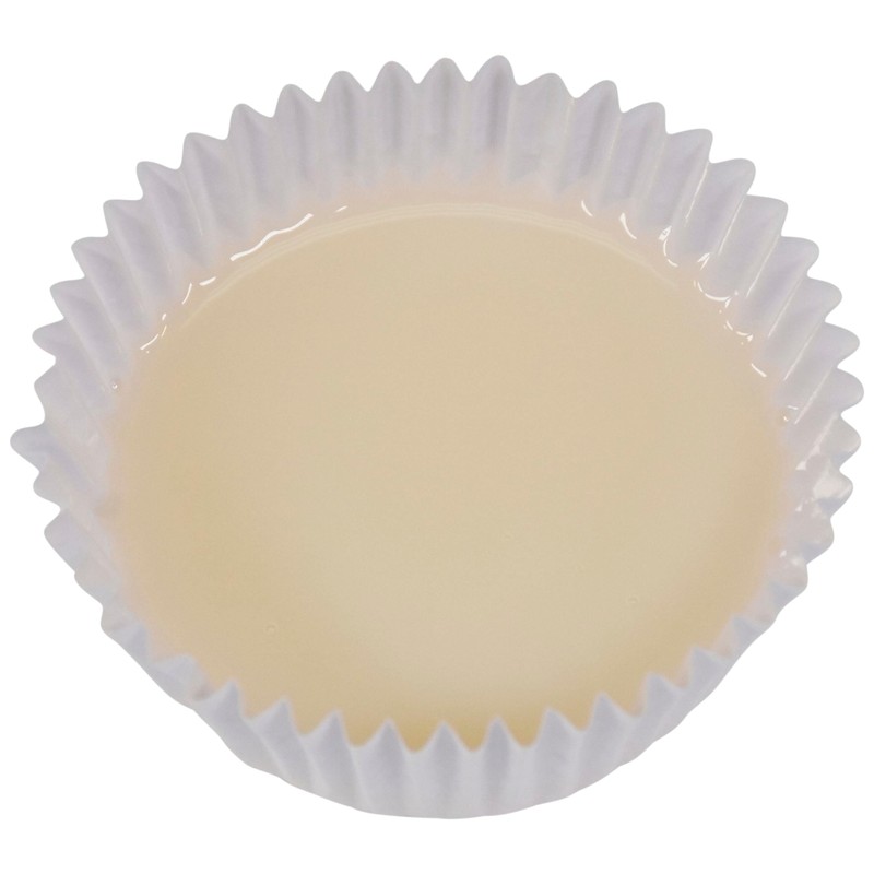 Sax Tempera Varnish, Gloss Finish, Quart