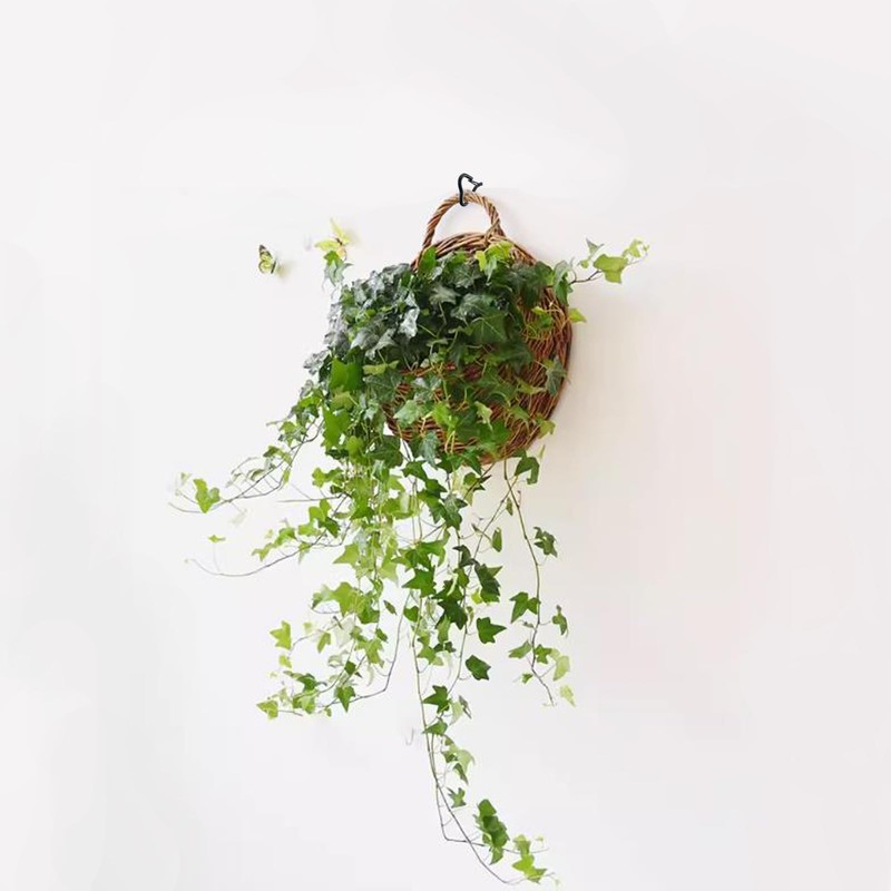 BJUTYEU Decorative Love Hooks for Hanging Lights, Plants, Wind Chimes,