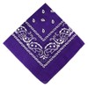 The Tie Co™ Paisley Bandana 55 x 55cm – Men’s
